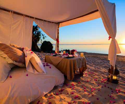 Private Beach Dinner