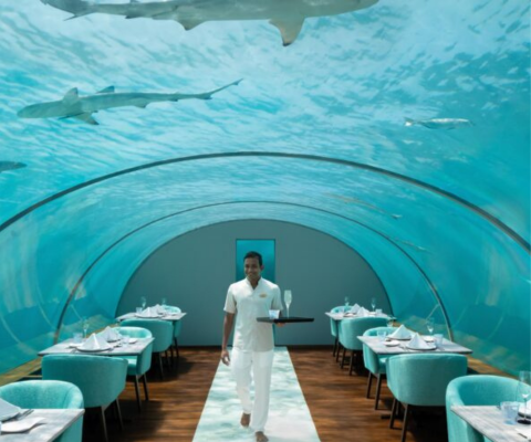 Underwater Dining